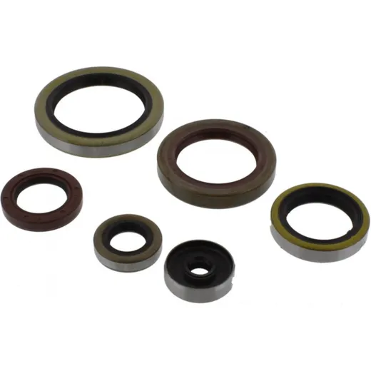 Shaft seal Set P400060400011