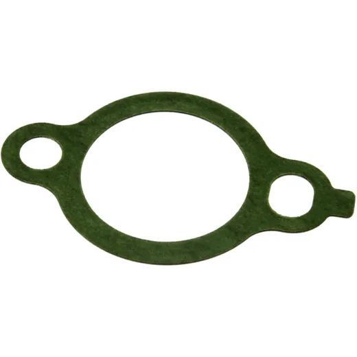 CAM CHAIN TENSIONER GASKET for Motorcycles 7343418