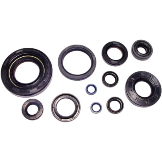 Engine oil seal kit for: Fantic XX