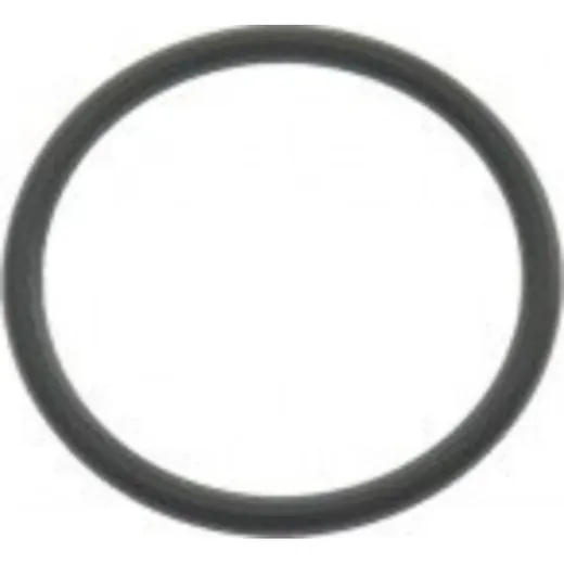 Cylinder head o ring