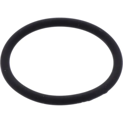 Exhaust gasket o-ring athena
