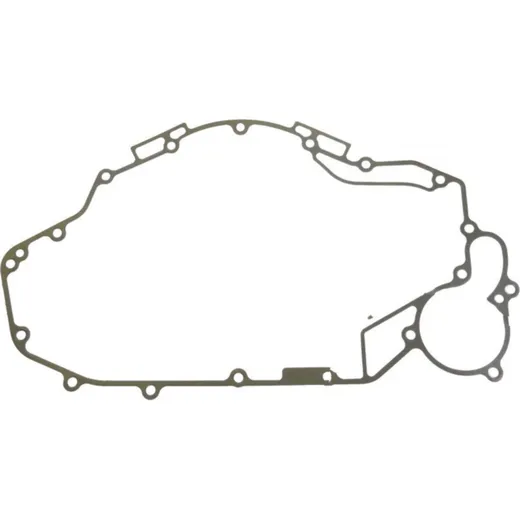 Alternator cover gasket (orig spare part) 110610338