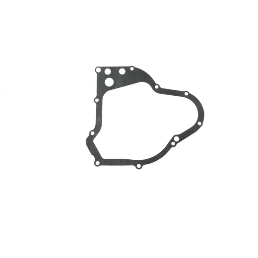 Lichtmaschinendeckeldichtung für Motorräder 7343858