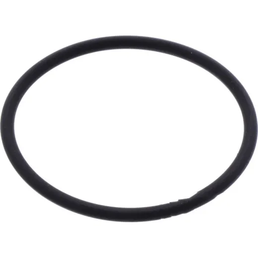 Intake gasket o-ring athena