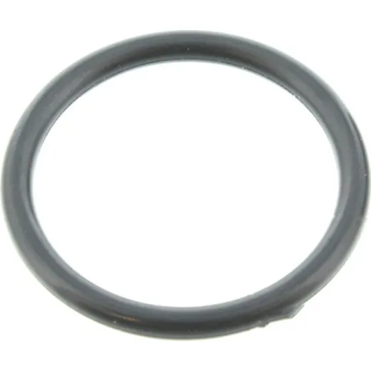 O-ring (orig spare part) 920550732