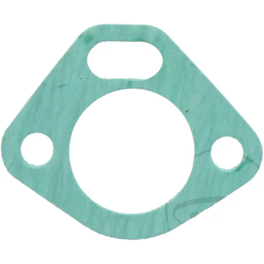 CAM CHAIN TENSIONER GASKET for Motorcycles 7344253