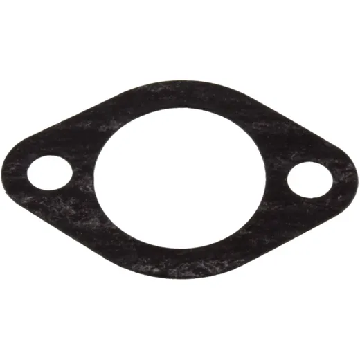 CAM CHAIN TENSIONER GASKET for Motorcycles 7344536