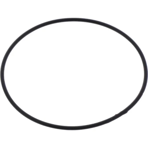 Anlasserdeckeldichtung O-Ring Originalersatzteil 91309GB2701