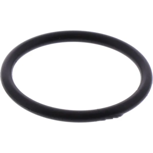 Anlasserdeckeldichtung O-Ring Originalersatzteil 5VVH182L00