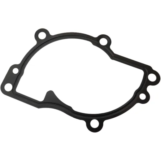 Dicht water pump cover (orig spare part) 975833