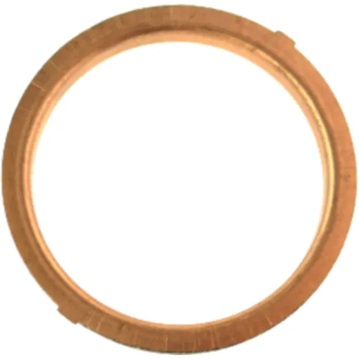 Exhaust gasket (orig spare part) 976534