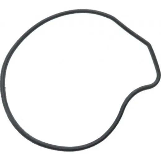 Dicht water pump cover (orig spare part) 976553