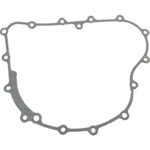 Oil pump gasket (orig spare part) 976560