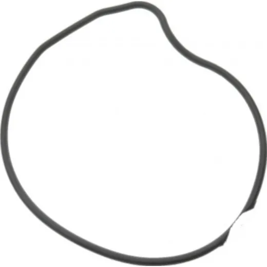 Siegel Dichtung Wasserpumpe Deckel Originalersatzteil 976561