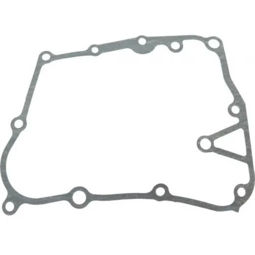 Oil pump gasket (orig spare part)