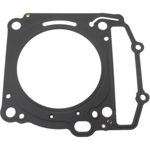 Cylinder head gasket (orig spare part) 976653