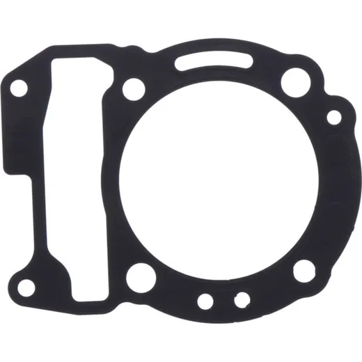 Cylinder head gasket (orig spare part) 976696