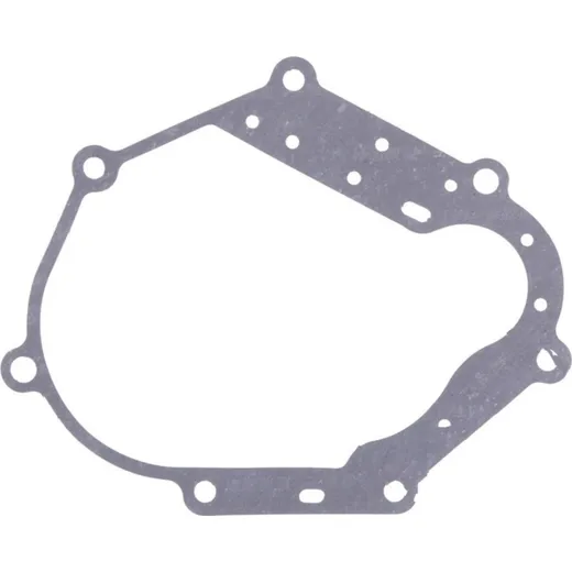 Gearbox cover gasket (orig spare part) 976700
