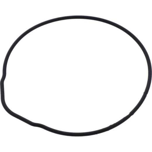Cylinder head gasket (orig spare part) 976738