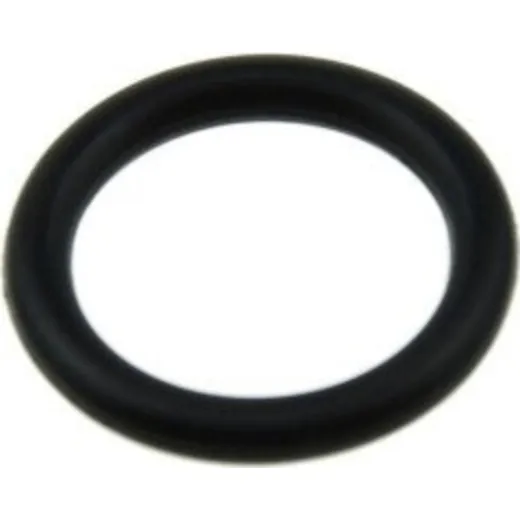 O-ring 979884