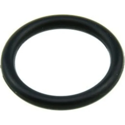 O-ring 979905