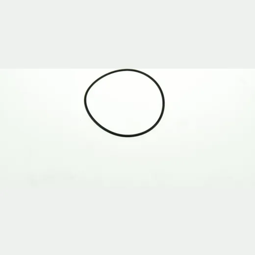 O-ring 979935
