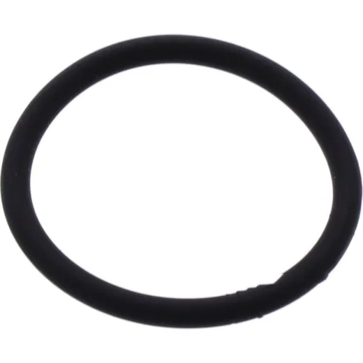 Cylinder head gasket o-ring athena