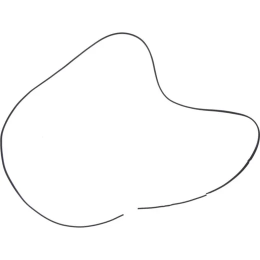 Variomatikdeckeldichtung Originalersatzteil 1013398