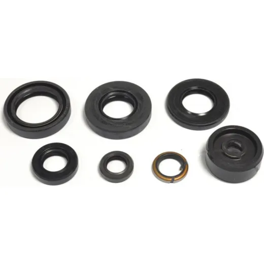 Shaft seal set athena P400485400087
