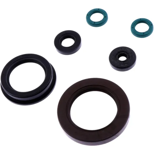 OIL SEAL KIT for Motorcycles 7345716