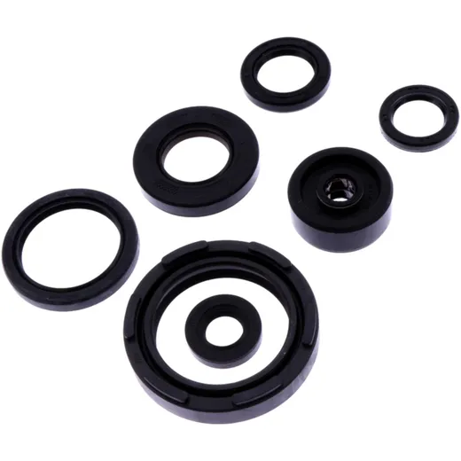 OIL SEAL KIT for Athena Motorcycles 7345719