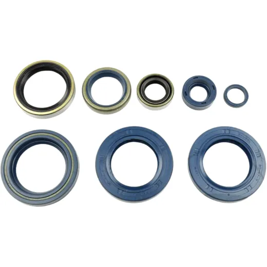 Engine Oil Seal Kit for Motorcycles 7346059