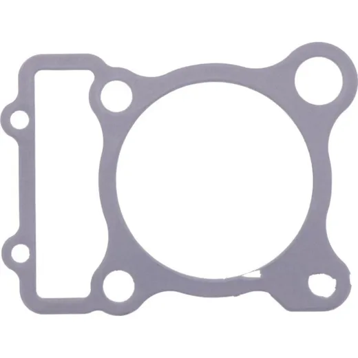 Cylinder base gasket (orig spare part) 1035780