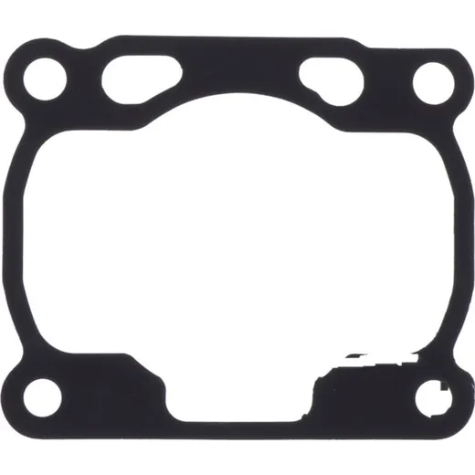 Cylinder base gasket (orig spare part) 1036309