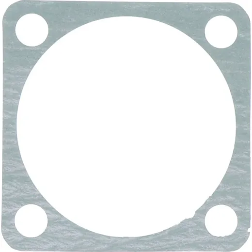 Water pump cover gasket athena