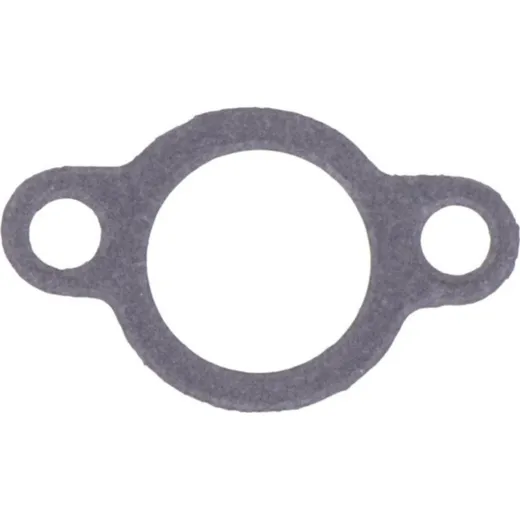 Water pump cover gasket athena 1040342