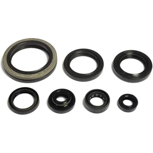 Wellendichtring Satz für Motoren 7346606