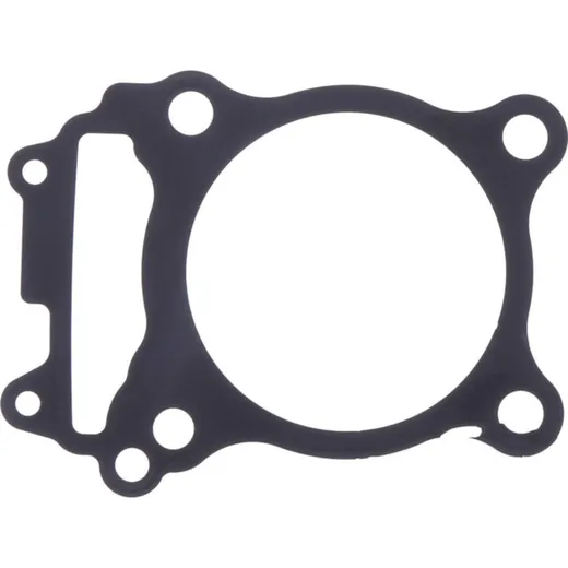 Cylinder base gasket (orig spare part) 1053911