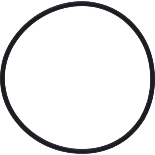 Ventildeckeldichtung O-Ring Originalersatzteil