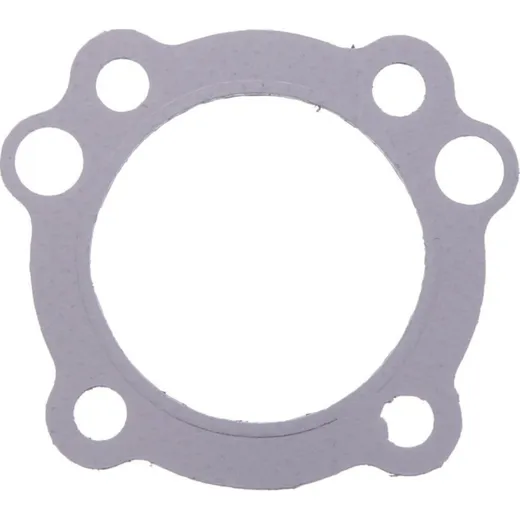 Cylinder head gasket athena S410195001002