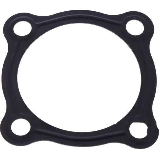 Oil strainer gasket (orig spare part) 1102199