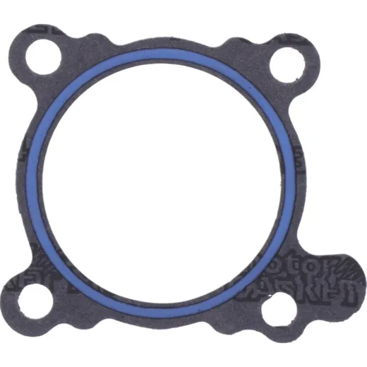 Throttle valve gasket athena 1105601