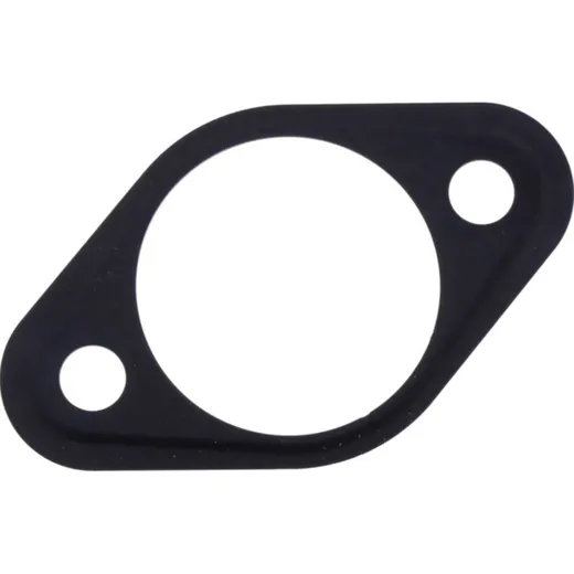 Cam chain tensioner gasket (orig spare part) 1105859