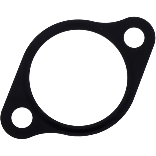 Cam chain tensioner gasket (OE spare part) alternative: 7346424 for: Honda CRF, Cota, FJS