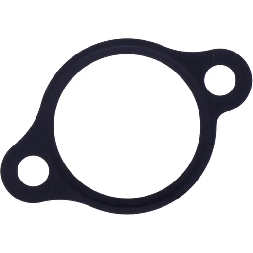 Cam chain tensioner gasket (OE spare part) alternative: 7349272 for: Honda SH, VF, PCX