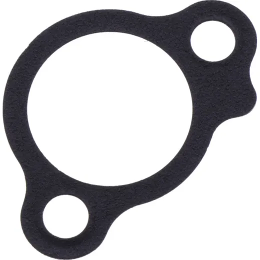 Cam chain tensioner gasket (orig spare part) 1105874