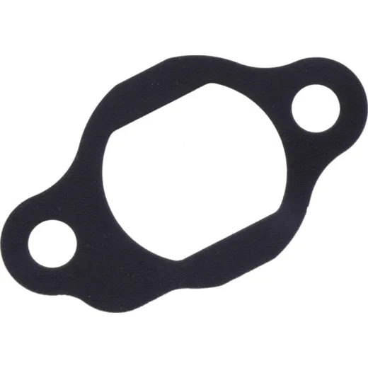 Cam chain tensioner gasket (orig spare part) 1105878