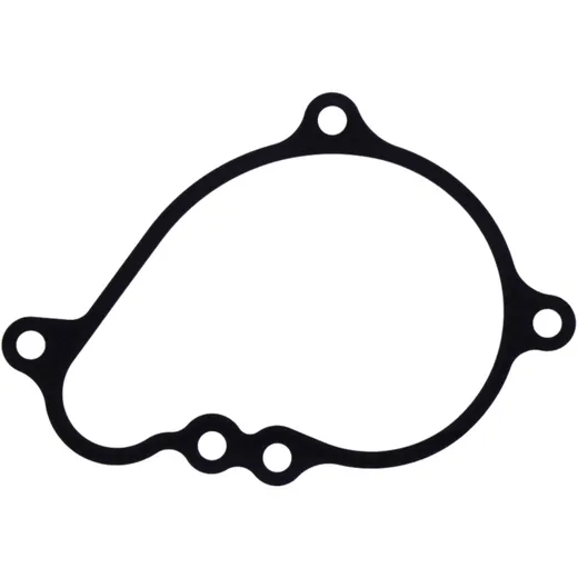 Water Pump Cover Gasket Genuine Spare Part 7347381