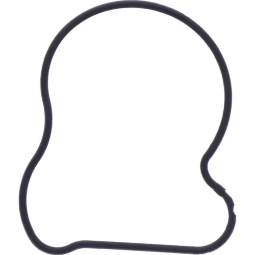 Water pump cover gasket oe spare part 1109084
