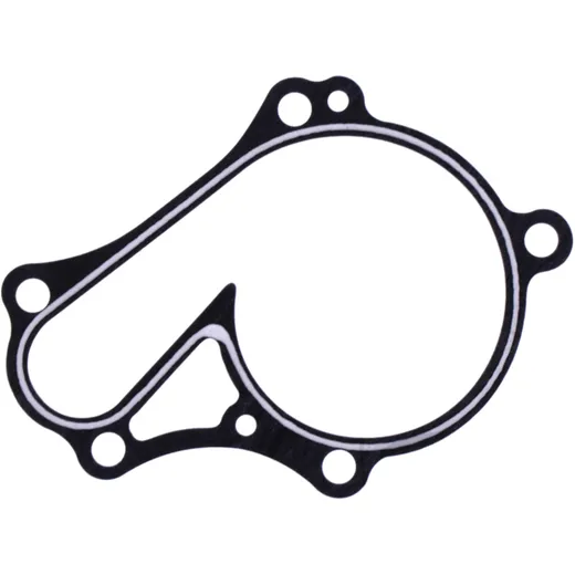 Water Pump Cover Gasket Original Spare Part 7347394